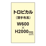 トロピカル （薄手布系）【W600?H2000mm以内】