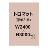 トロマット （厚手布系）【W2400?H3000mm以内】