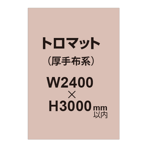 トロマット （厚手布系）【W2400?H3000mm以内】