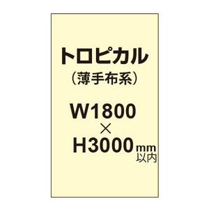 トロピカル （薄手布系）【W1800?H3000mm以内】