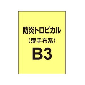 防炎トロピカル B3（薄手布系）