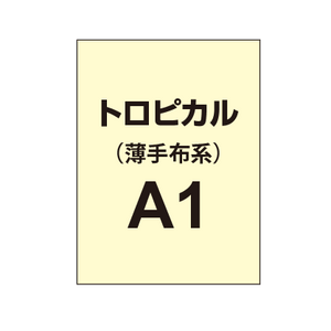 トロピカル A1（薄手布系）