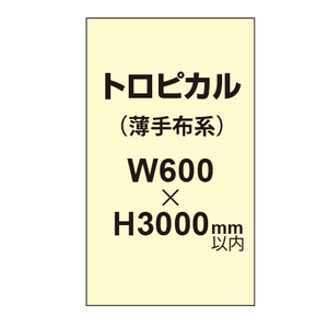 トロピカル （薄手布系）【W600?H3000mm以内】