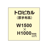 トロピカル （薄手布系）【W1500?H1000mm以内】