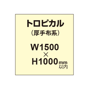 トロピカル （薄手布系）【W1500?H1000mm以内】