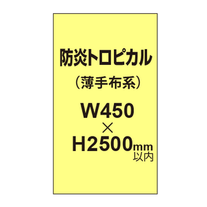 防炎トロピカル （薄手布系）【W450?H2500mm以内】