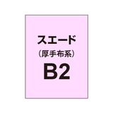 スエード B2（厚手布系）