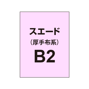 スエード B2（厚手布系）