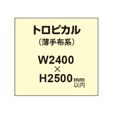 トロピカル （薄手布系）【W2400?H2500mm以内】