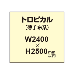 トロピカル （薄手布系）【W2400?H2500mm以内】