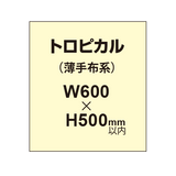 トロピカル （薄手布系）【W600?H500mm以内】