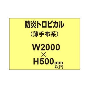 防炎トロピカル （薄手布系）【W2000?H500mm以内】