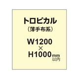 トロピカル （薄手布系）【W1200?H1000mm以内】