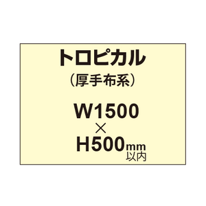 トロピカル （薄手布系）【W1500?H500mm以内】