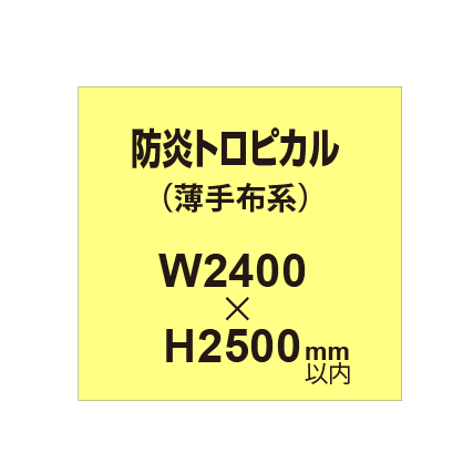 防炎トロピカル （薄手布系）【W2400?H2500mm以内】