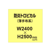 防炎トロピカル （薄手布系）【W2400?H2500mm以内】