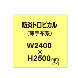 防炎トロピカル （薄手布系）【W2400?H2500mm以内】