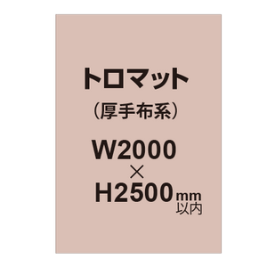 トロマット （厚手布系）【W2000?H2500mm以内】