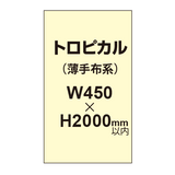 トロピカル （薄手布系）【W450?H2000mm以内】