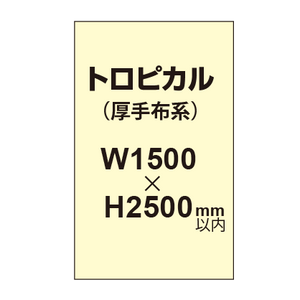 トロピカル （薄手布系）【W1500?H2500mm以内】