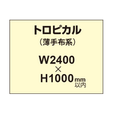 トロピカル （薄手布系）【W2400?H1000mm以内】