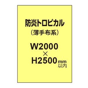 防炎トロピカル （薄手布系）【W2000?H2500mm以内】