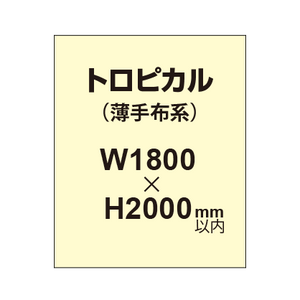 トロピカル （薄手布系）【W1800?H2000mm以内】