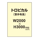 トロピカル （薄手布系）【W2000?H3000mm以内】