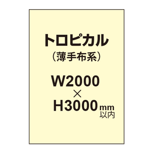 トロピカル （薄手布系）【W2000?H3000mm以内】