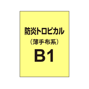 防炎トロピカル B1（薄手布系）