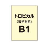 トロピカル B1（薄手布系）