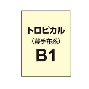 トロピカル B1（薄手布系）