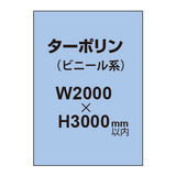 ターポリン印刷【W2000×H〜3000mm以内】