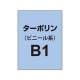 ターポリン印刷 B1