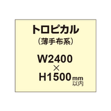 トロピカル （薄手布系）【W2400?H1500mm以内】