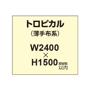 トロピカル （薄手布系）【W2400?H1500mm以内】