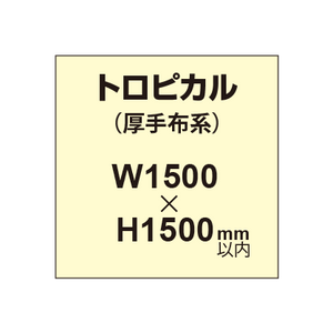 トロピカル （薄手布系）【W1500?H1500mm以内】