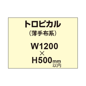 トロピカル （薄手布系）【W1200?H500mm以内】