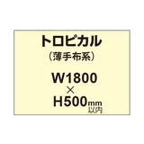 トロピカル （薄手布系）【W1800?H500mm以内】