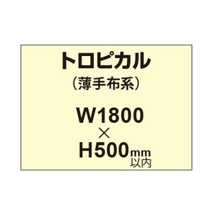 トロピカル （薄手布系）【W1800?H500mm以内】