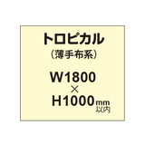 トロピカル （薄手布系）【W1800?H1000mm以内】