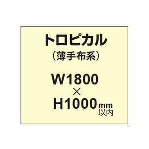 トロピカル （薄手布系）【W1800?H1000mm以内】