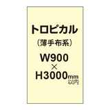 トロピカル （薄手布系）【W900?H3000mm以内】