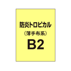 防炎トロピカル B2（薄手布系）