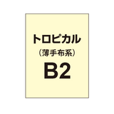 トロピカル B2（薄手布系）