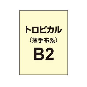 トロピカル B2（薄手布系）