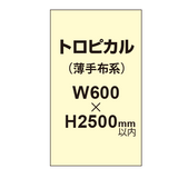 トロピカル （薄手布系）【W600?H2500mm以内】