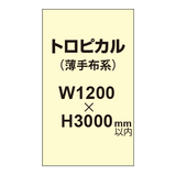 トロピカル （薄手布系）【W1200?H3000mm以内】