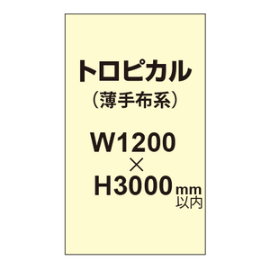 トロピカル （薄手布系）【W1200?H3000mm以内】