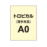 トロピカル A0（薄手布系）